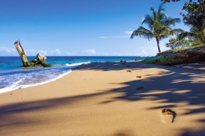 Costa Rica Beach
