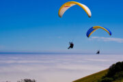 Two Paragliders