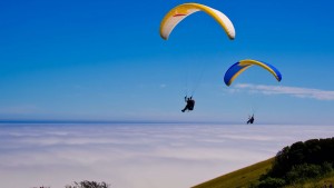 Two Paragliders